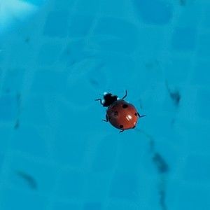 Meet your Posher, Jim